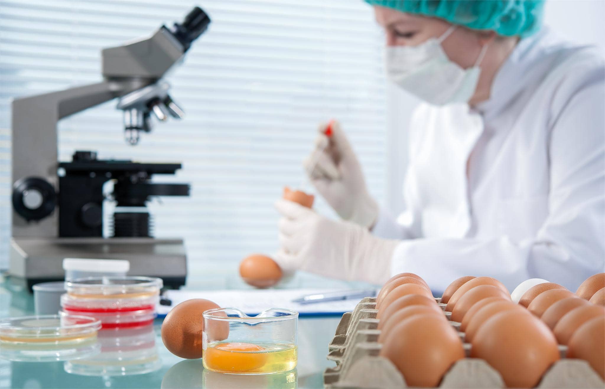 食品實驗室設計 食品實驗室設計