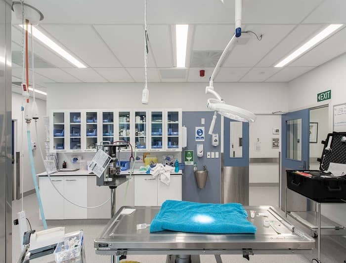 獸醫(yī)實(shí)驗(yàn)室整體設(shè)計(jì)建設(shè)