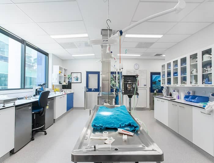 獸醫(yī)實驗室設(shè)計 獸醫(yī)實驗室設(shè)計